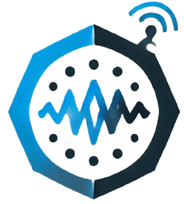 Tecnología de procesado paralelo de acelerómetros MEMS aplicada a una plataforma SHM para la alerta temprana de anomalías estructurales (SHMCHEAP)